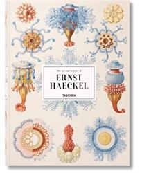 The Art and Science of Ernst Haeckel