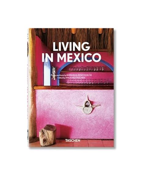 40 Living in Mexico INT