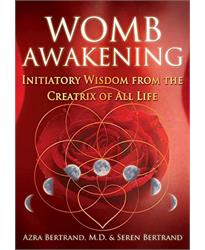 Womb Awakening: Initiatory Wisdom from the Creatrix of All Life