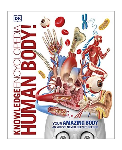 Knowledge Encyclopedia Human Body! (Knowledge Encyclopedias)