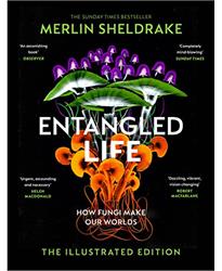 Entangled Life (The Illustrated Edition): A beautiful new edition of the Sunday Times bestseller featuring 100 illustrations