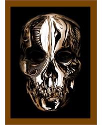 Alexander McQueen: Savage Beauty (Metropolitan Museum of Art Series)