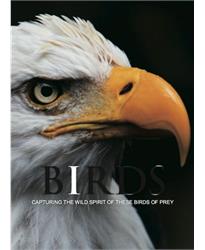 Birds: Capturing the Wild Spirit of These Birds of