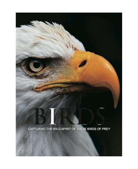 Birds: Capturing the Wild Spirit of These Birds of