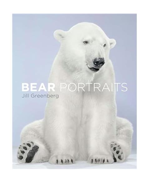 Bear Portraits