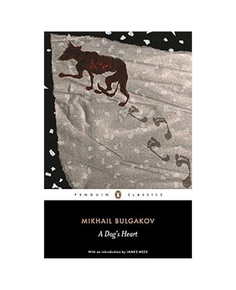 A Dogs Heart (Penguin Classics)